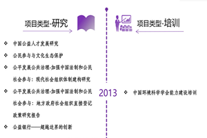 大黑吊日逼现场非评估类项目发展历程